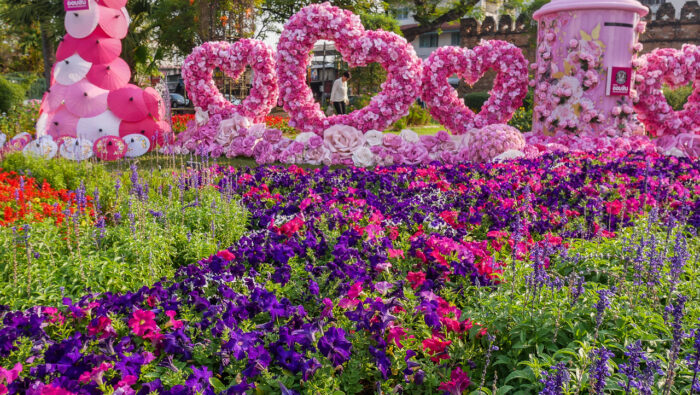 Гответе се за Фестивала на цветята в Чианг Май в първата седмица на февруари„